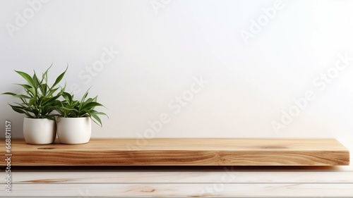 plant in a pot on a wooden bench