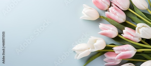 Mothers Day concept flowers on pastel blue background