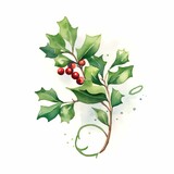 holly leaves and berries isolated on white background