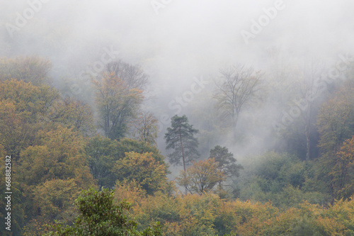 Nebel