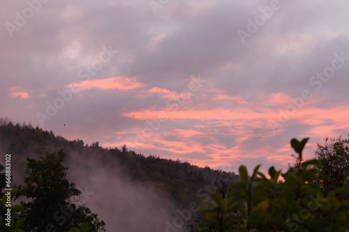 Nebel