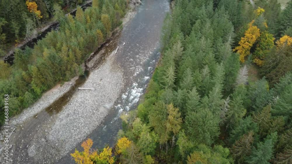 Drone's eye view of the bustling Chilliwack river and colorful forest Drone's eye view of the bustling Chilliwack river and colorful forest