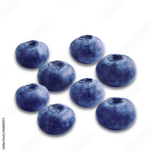 group of fresh blueberry fruit isolated cutout in transparent background,png format 