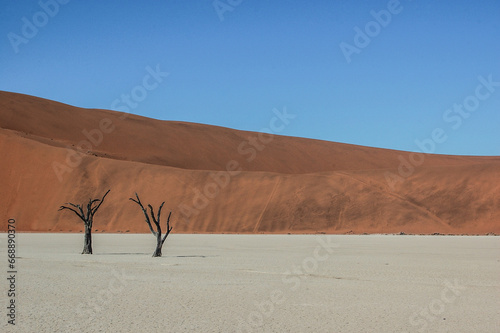 Deadvlei in Namibia photo