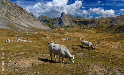 Altopiano Gardetta, Rocca La Meja in the Maira Valley, in Piedmont, near Cuneo