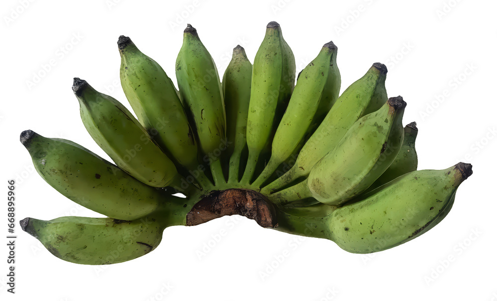 Bunch of green bananas isolated on white background with clipping path. Bunch of green bananas isolated on white background with clipping path.