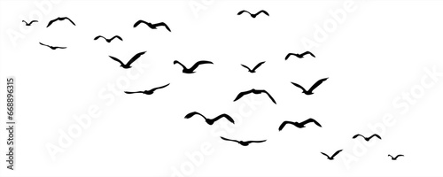 A Flock of Flying Birds. Vector 10 eps.