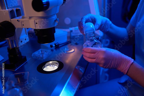 Female scientist using oil overlay for embryos in Petri dish