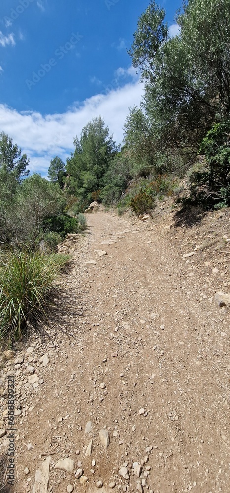 Fototapeta premium sceneries from mallorca spain