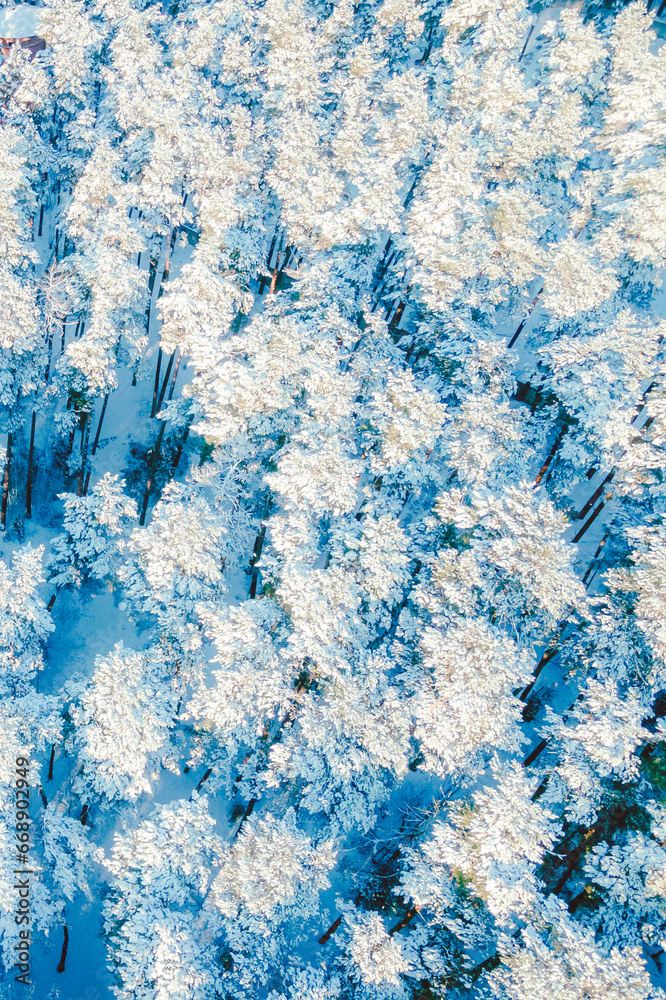 Fototapeta premium blue texture