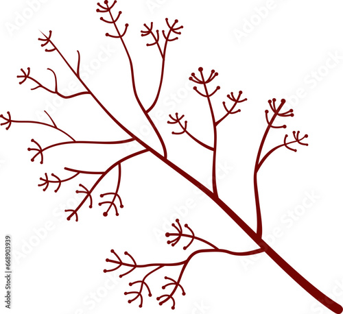 Berries on branch vector illustration. Autumn Berries design element