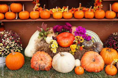 Pumpkins  gourds and flowers arrangement with a row of similar sized pumpkins on top