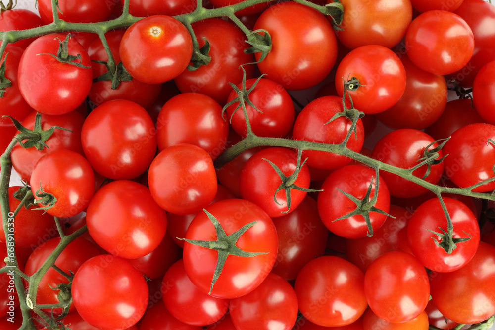 Many fresh ripe cherry tomatoes as background, top view