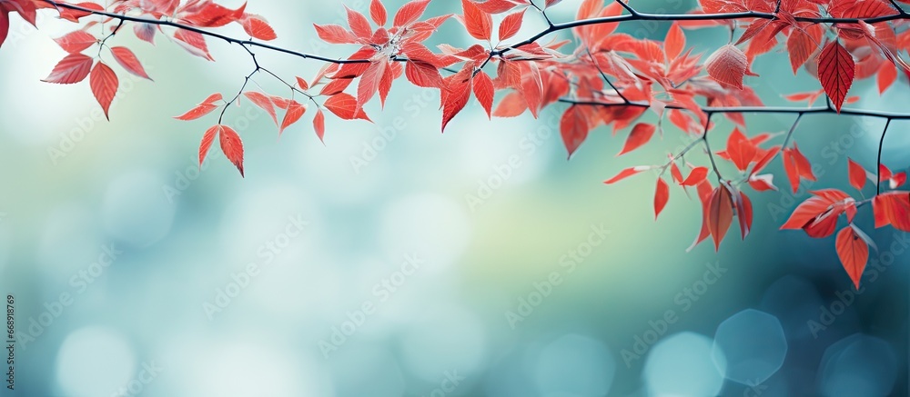 Abstract background with red and green blurred leaves and bokeh Abstract background with red and green blurred leaves and bokeh