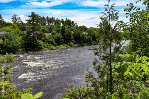 river through the trees