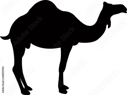 Camel Fill graphic icon. Camel black sign isolated on Transparent background. Camel symbol of desert. Camel desert brand logo design element. Camel Silhouettes Vector Illustration.