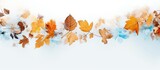 Autumn leaves that are frozen