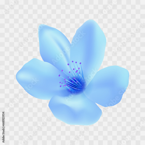 Vector blooming spring flower with transparent background