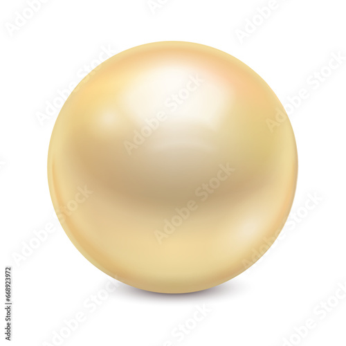 Vector realistic pearl on white background