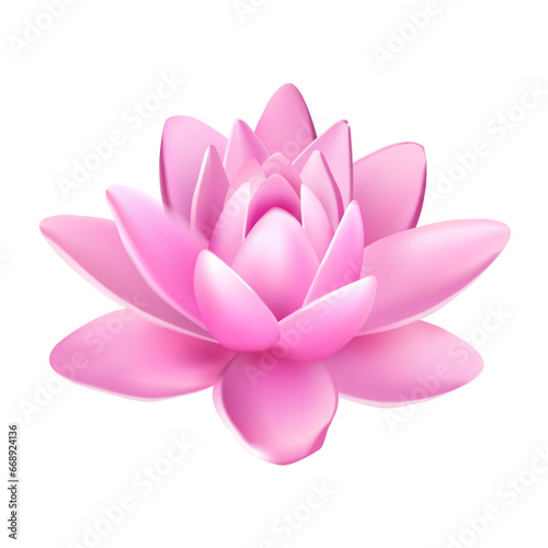 Vector isolated flower of lotus with light pink petals with reflection on white background 3d vector illustration
