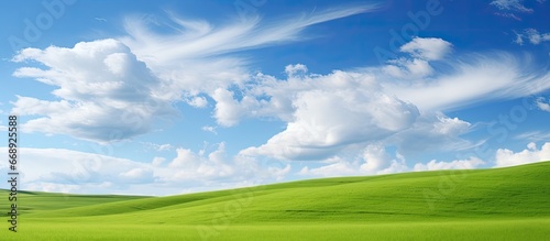 Grassy meadow under blue sky and fluffy clouds