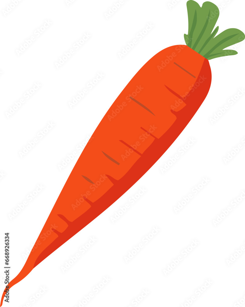 Carrot icon vector illustration. Vegetable isolated design element Carrot icon vector illustration. Vegetable isolated design element