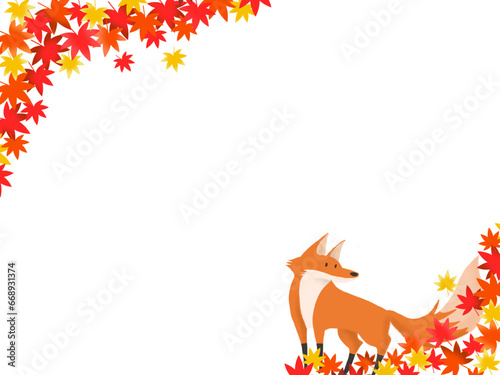 Autumn leaves and a fox