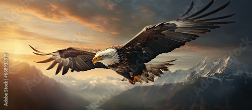 The majestic ruler of the sky the Eagle photo