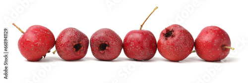 Hawthorn berry on white background.