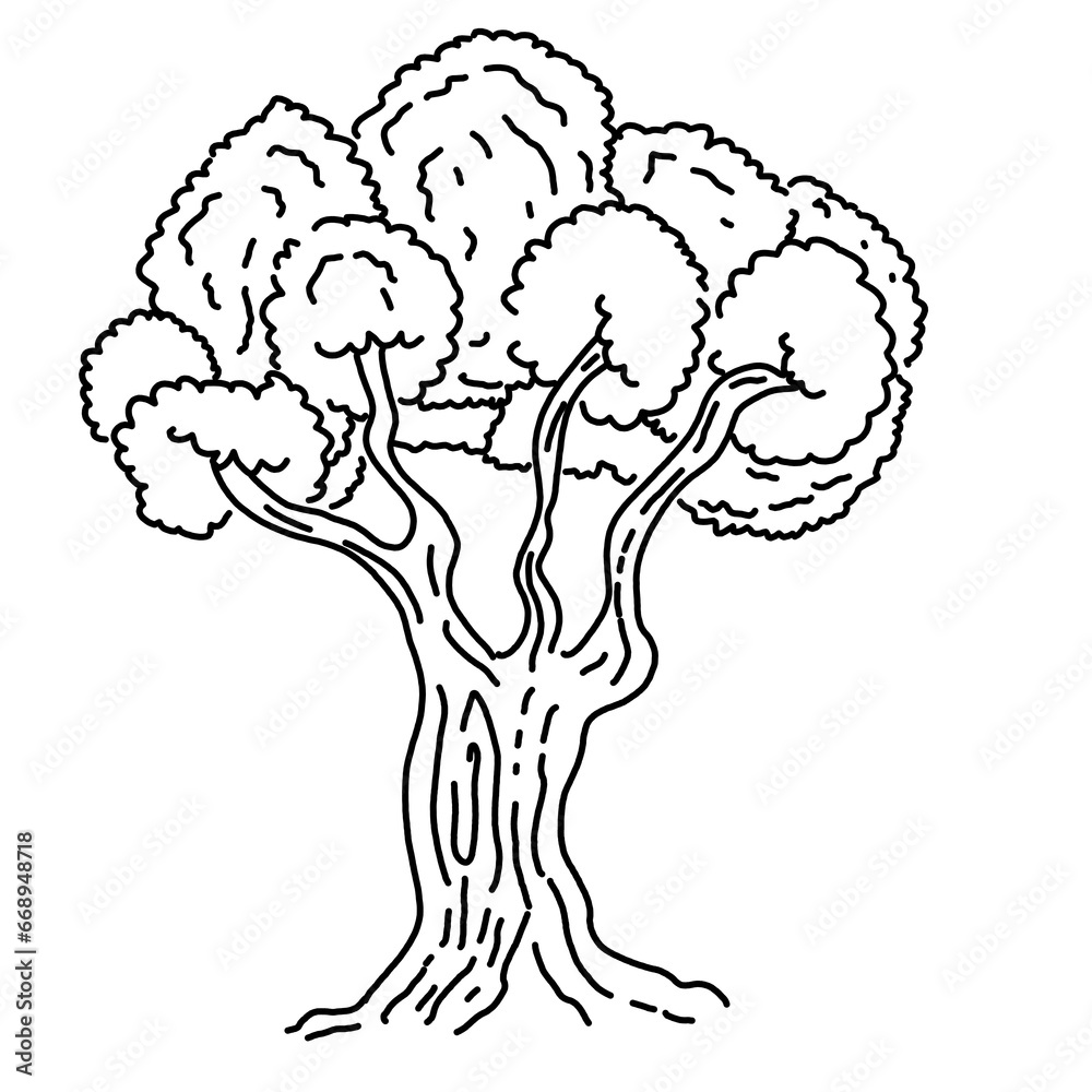 big tree big tree