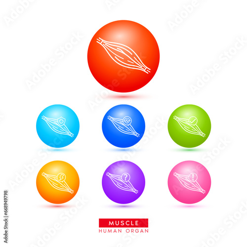 Muscle icons for health care ads or website. Medical Icon human organ with exclamation check question mark, cross and thunder. Ball round 3d isolated on white background. Vector EPS10.