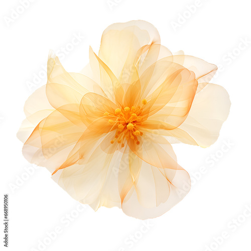 an ethereal blend of golden yellow and pastel orange abstract blooming shape