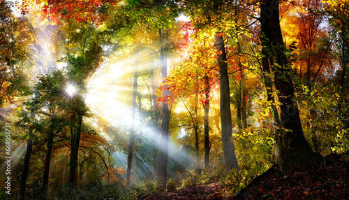 Romantic autumn forest in backlight  AI generated