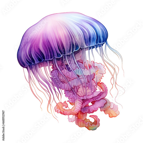 water animal element. watercolor jellyfish illustration.