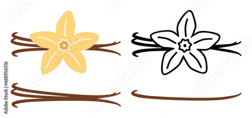 Vanilla Flower & Dried Sticks SVG - Colors & Line Art