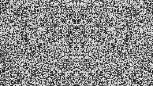 Turing ornament halftone puzzle pattern vector background. turing pattern retro. Monochrome Turing reaction background. Abstract diffusion pattern with chaotic shapes. Vector illustration. photo
