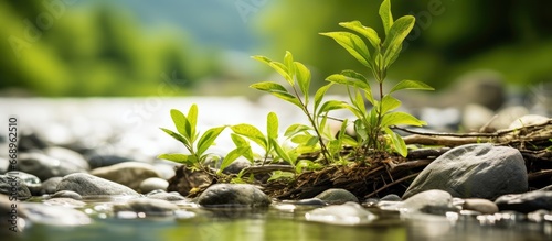 Emphasize water with blurry background of rocky river bed and lush green surroundings