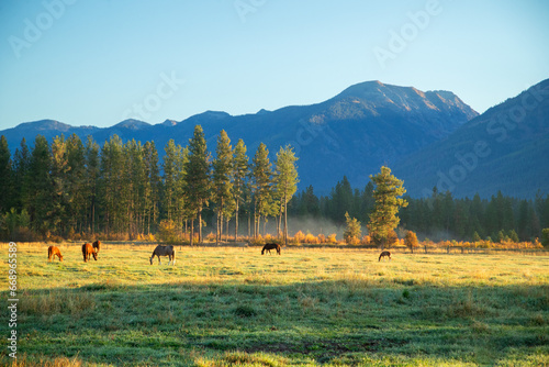 Canvas Print Ranch Pasture with horses and cows in the Fall with Montana mountains in the bac