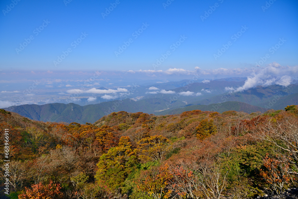 伊吹山ドライブウェイの紅葉