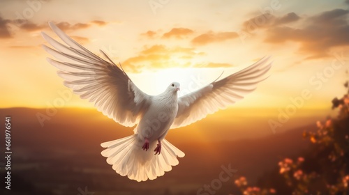 dove of peace © faiz