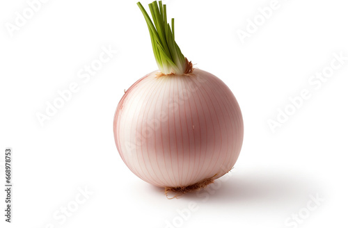 Cocktail onion on white background
