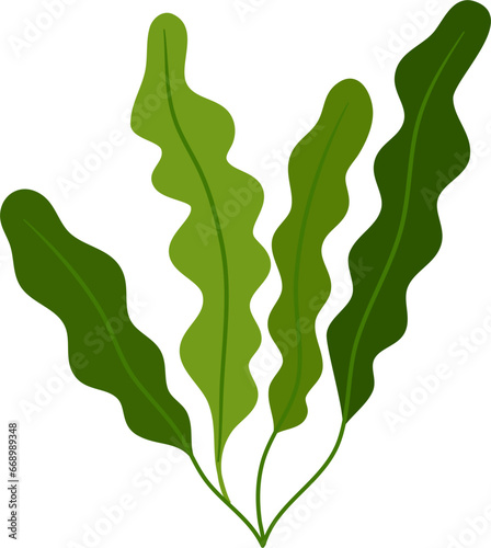 seaweed clipart