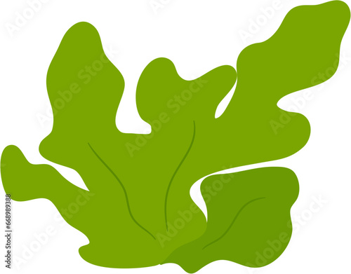 seaweed clipart