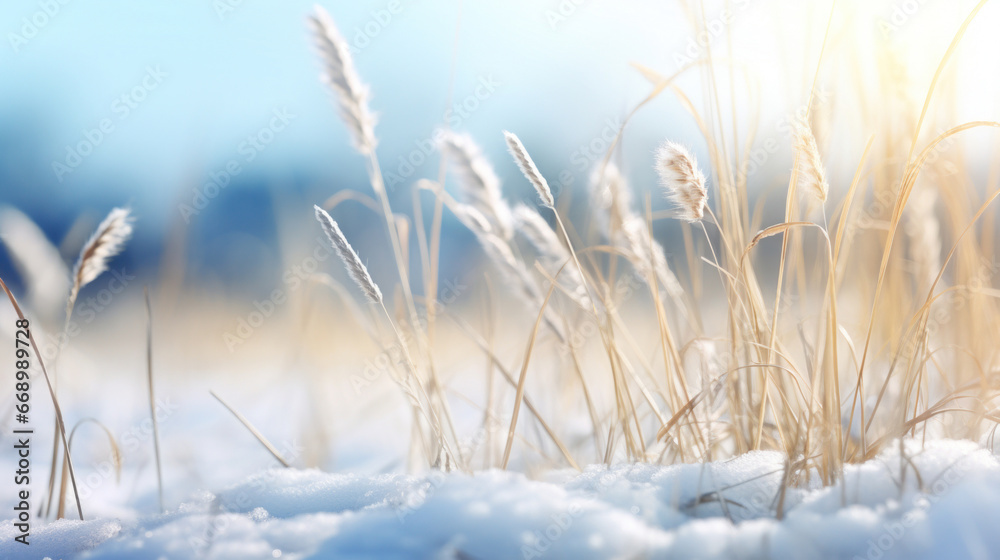 Fototapeta premium Christmas abstract background with snowflakes