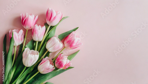 Lovely arrangement of spring blossoms. Bunch of tulips in delicate pink hues set against a soft, pastel pink backdrop. Perfect for Women's Day, and Mother's Day
