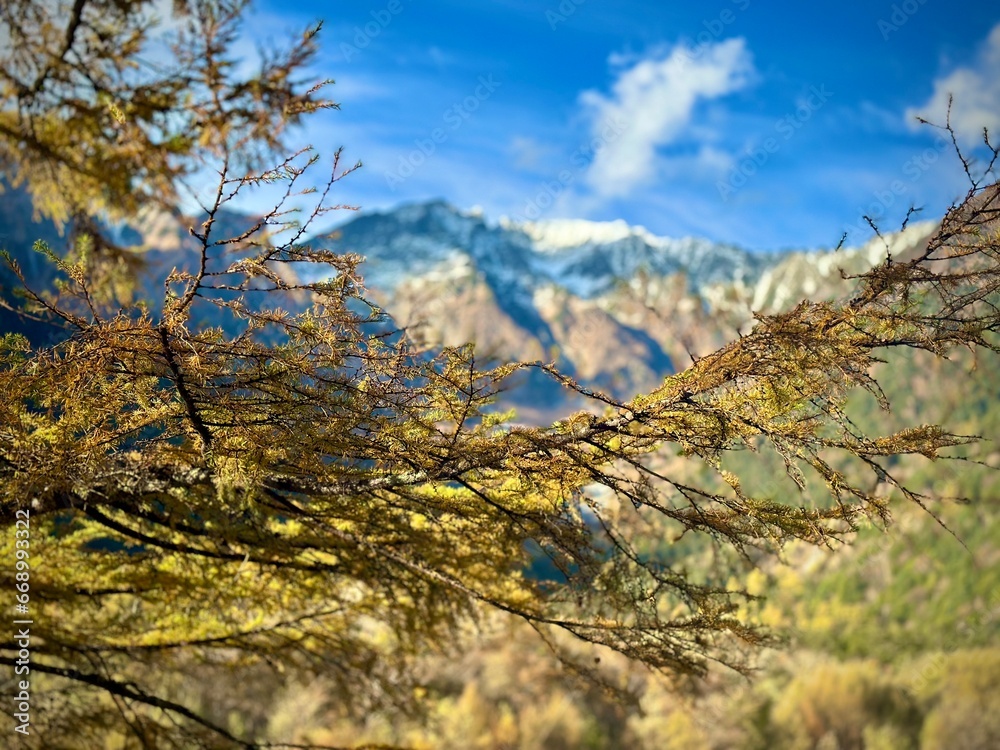 autumn in the mountains