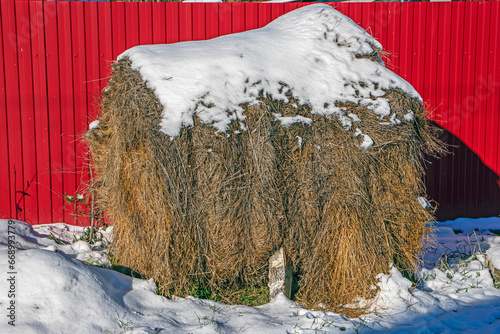 Canvastavla A snow-covered haystack at the fence on a winter day