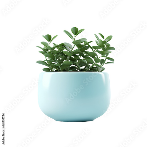 Potted plants for home and office decoration on transparent background PNG