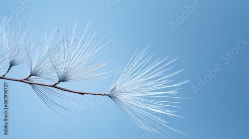 Minimalistic Superb Clean Image of Abstract Pine Needles AI Generated
