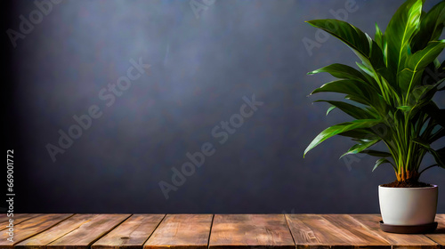 business concept, Empty wooden table, plant with pot, copy space © Nuwan Buddhika